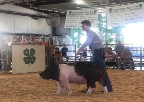 Austin Cox with the Reserve Champion at the 2019 Virginia Beach, VA 4-H Livestock Show
