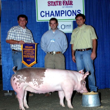 2010 Grand Champion Open Market Hogs Virginia State Fair
