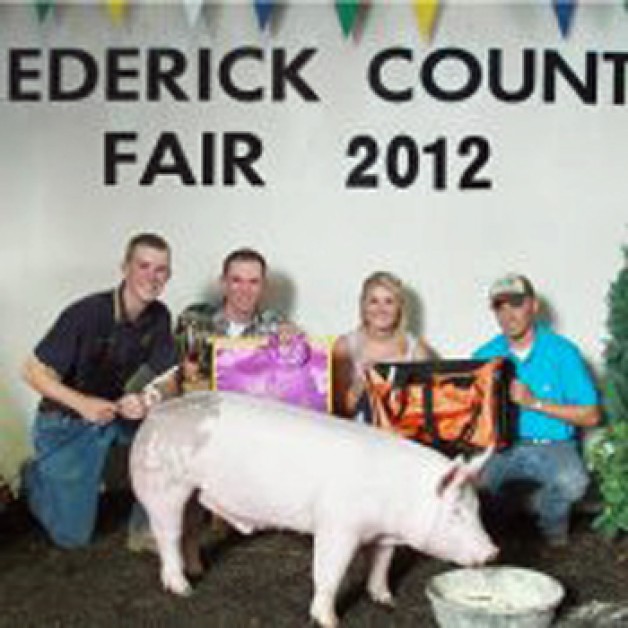 Brandon Strosnider with the 2012 Grand Champion Market Hog at the Frederick County, VA Show