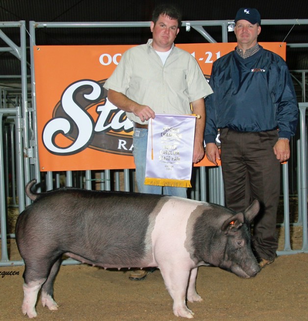 The Reserve Champion Gilt in the Open Show at the 2012 NC State Fair