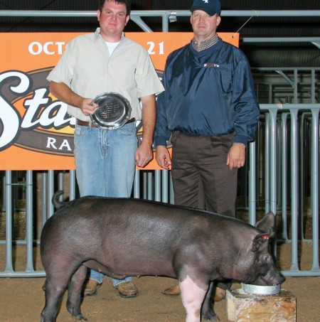 The Grand Champion Barrow in the Open Show at the 2012 NC State Fair