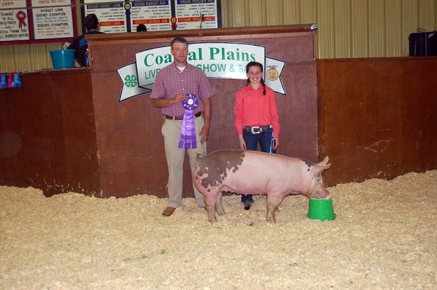 Grand Champion Market Hog at the 2012 Lenoir County, NC Costal Plains Livestock Show & Sale